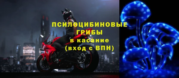 гидра Армянск